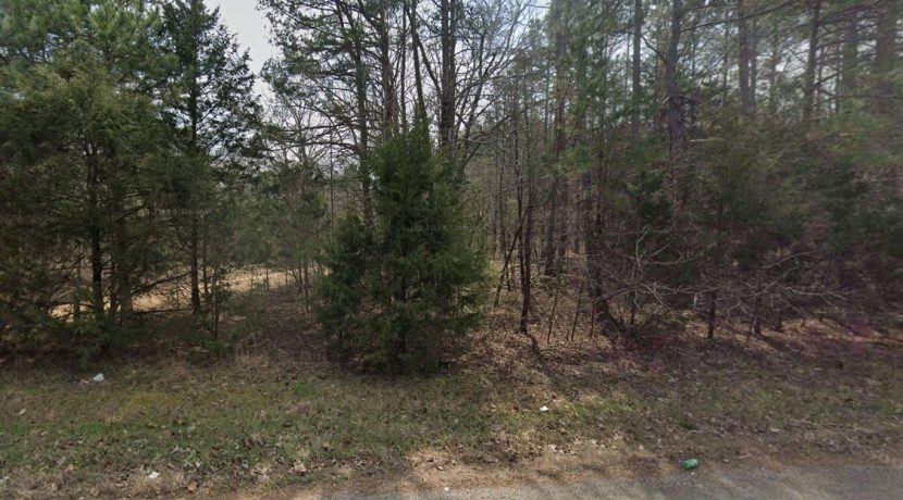 Small Wooded Land for Sale- Small Lot- Small Wooded Land for Sale 1