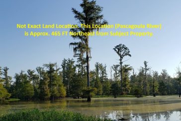 Residential Vacant Lot with Mature Trees and Grass - River Frontage Access in Riverland Estates on Eubanks Dr, Lucedale, MS