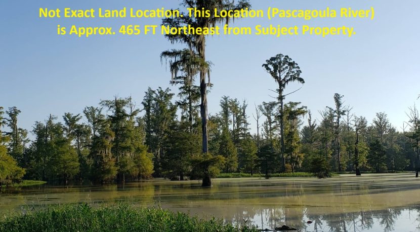 Residential Vacant Lot with Mature Trees and Grass - River Frontage Access in Riverland Estates on Eubanks Dr, Lucedale, MS